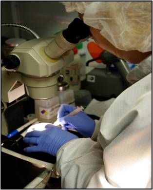 Metrology - Savvy Optics